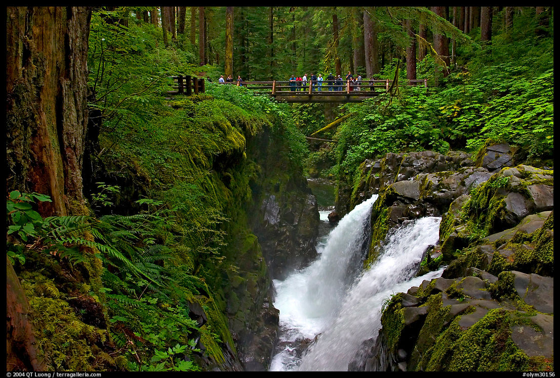 Soleduc falls and bridge. Olympic National Park, Washington, USA.