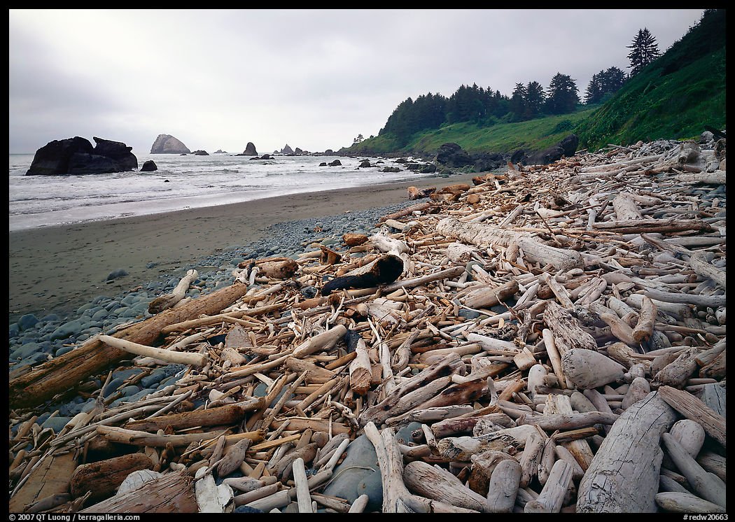 Driftwood, Hidden Beach. Redwood National Park, California, USA.