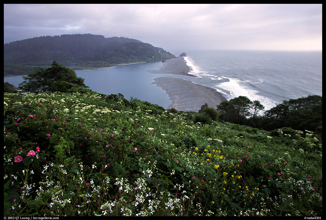 Coastline from Klamath overlook. Redwood National Park