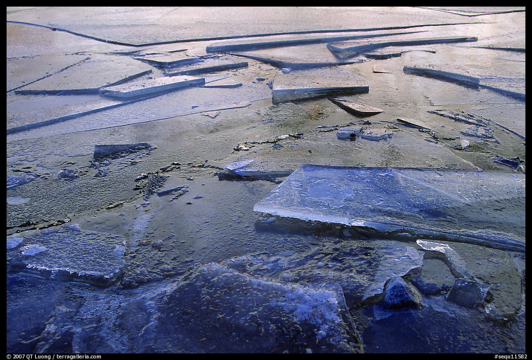 Ice on lake near Trail Camp, Inyo National Forest. California, USA
