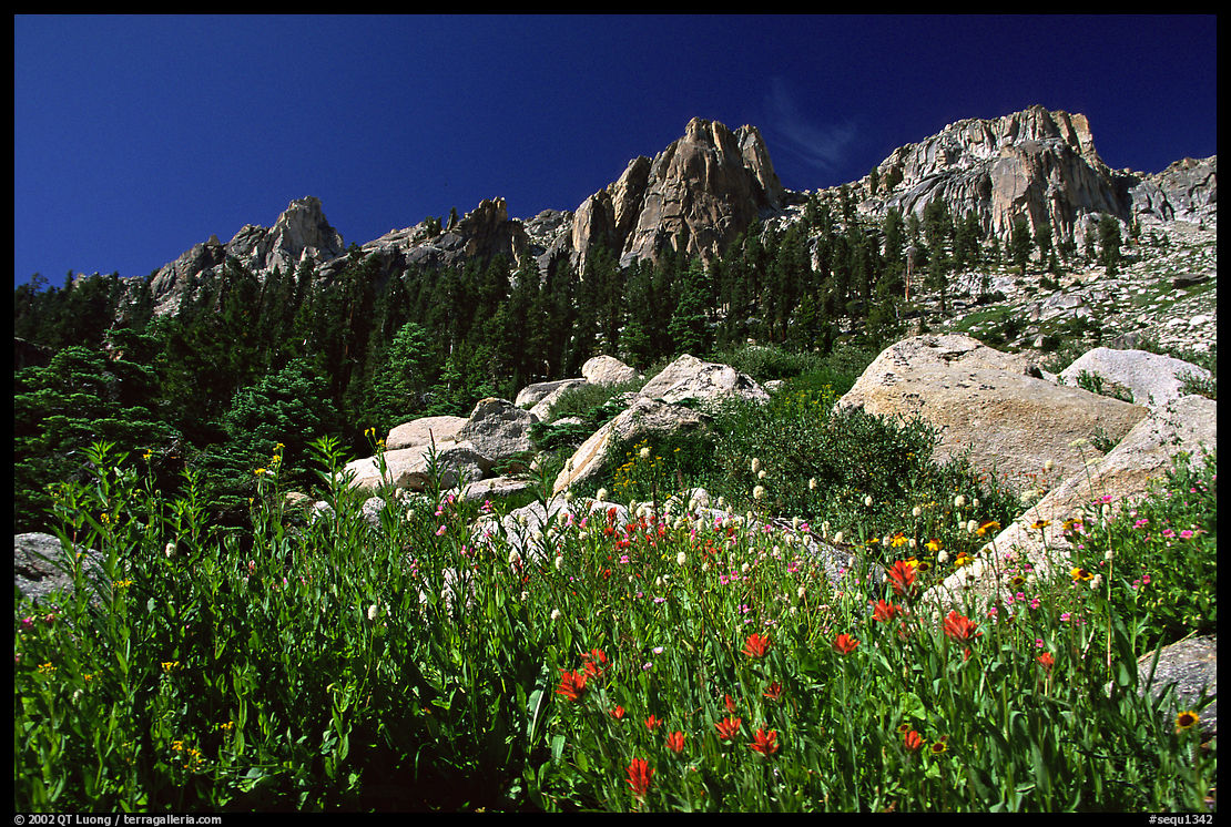 Alta Peak range. Sequoia National Park, California, USA.