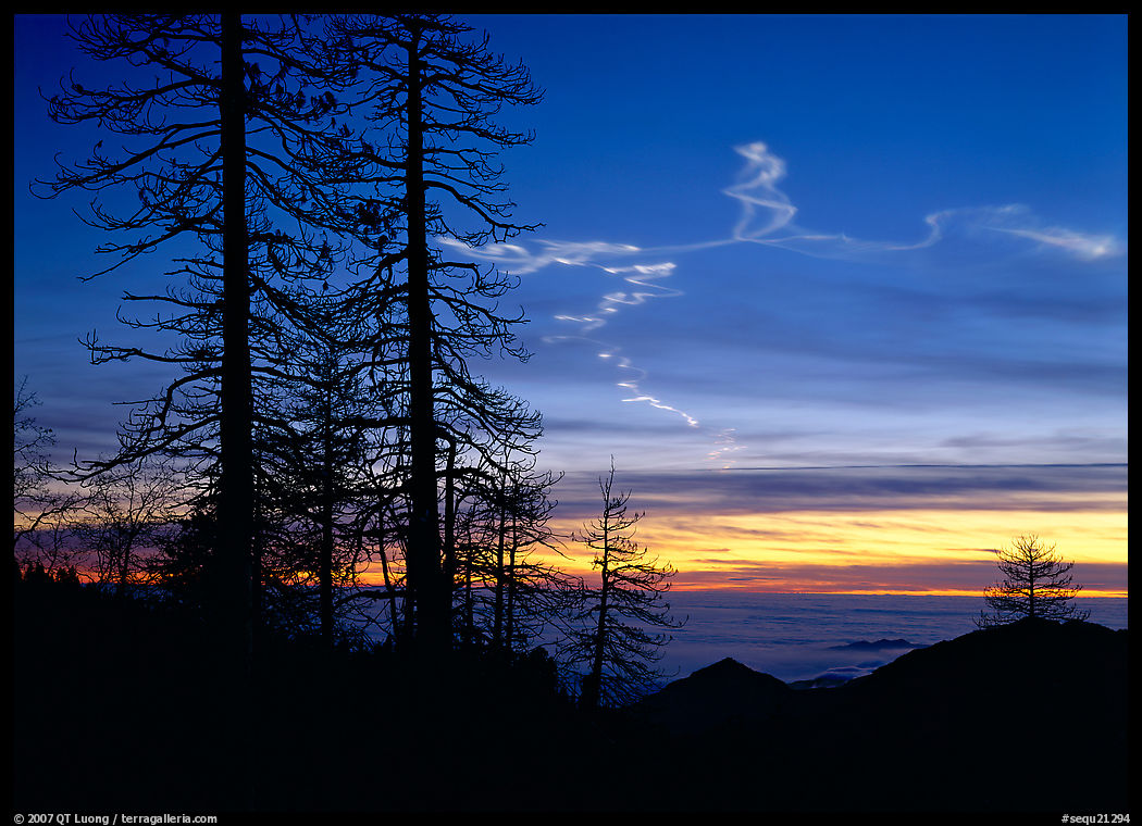 Sky trails at sunset. Sequoia National Park, California, USA.