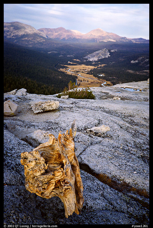 Tuolumne Meadows seen from Fairview Dome, autumn evening. Yosemite National Park
