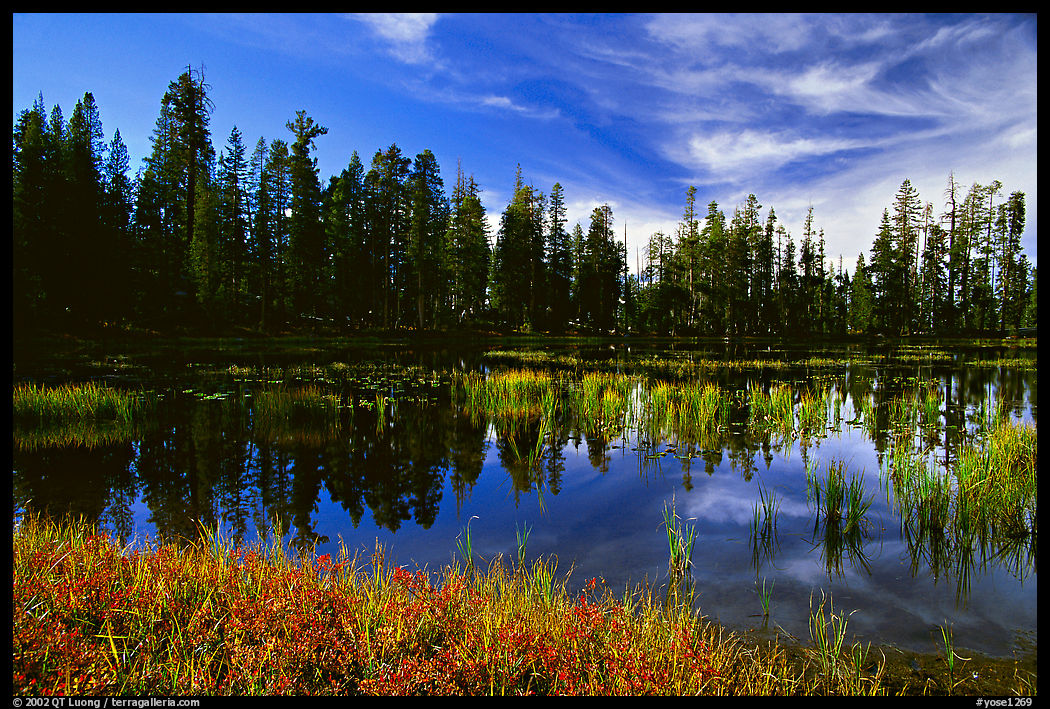 Siesta Lake with Shrubs in autumn colors. Yosemite National Park, California, USA.