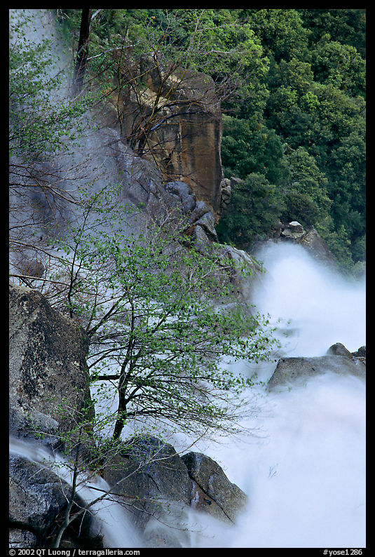 Cascade Creek spring run-off. Yosemite National Park