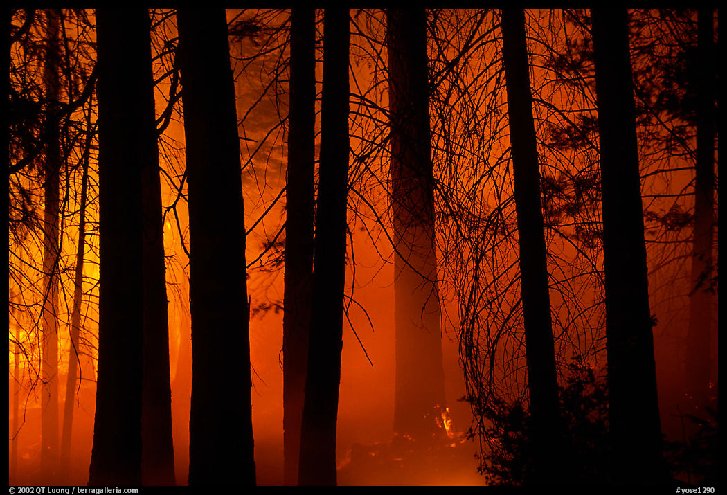 Control burn fire. Yosemite National Park, California, USA.