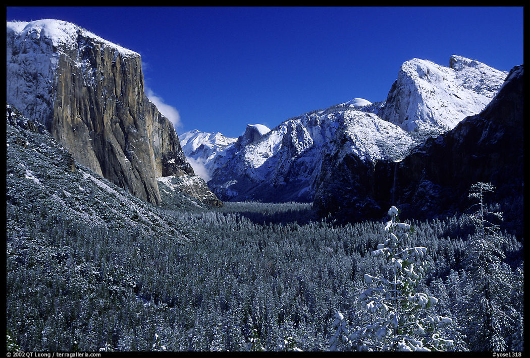 Yosemite Valley from Tunnel View in winter with snow-covered trees and mountains. Yosemite National Park, California, USA.