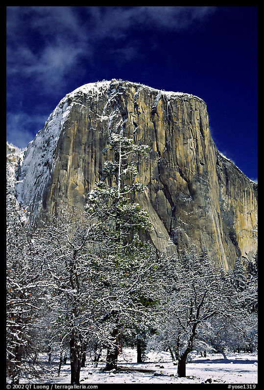West face of El Capitan in winter. Yosemite National Park, California, USA.