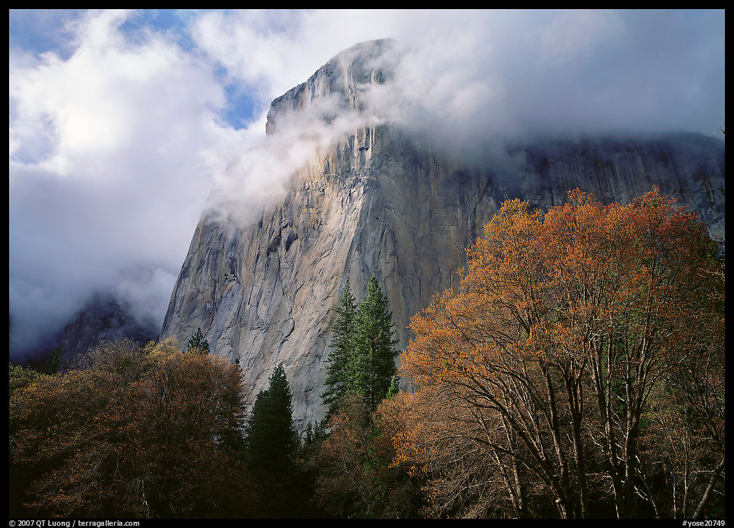 El Capitan with clouds shrouding summit. Yosemite National Park, California, USA.