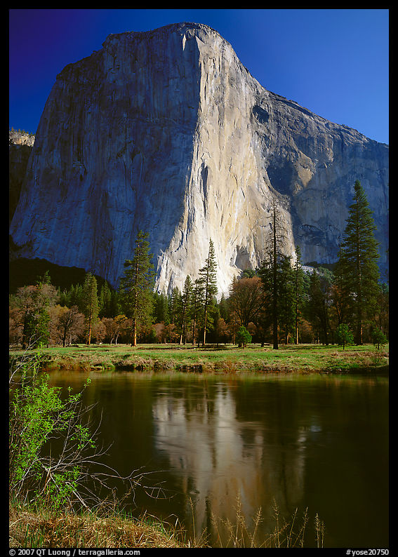 El Capitan and Merced River reflection. Yosemite National Park, California, USA.
