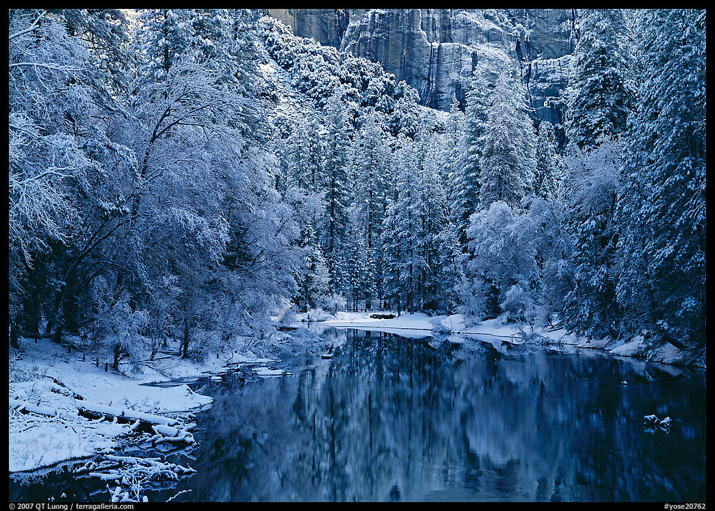 Snowy trees and rock wall reflected in Merced River. Yosemite National Park, California, USA.