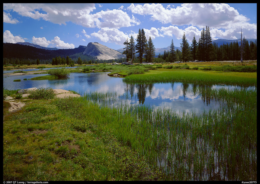 Spring pond in Tuolumne Meadows and Lambert Dome. Yosemite National Park, California, USA.