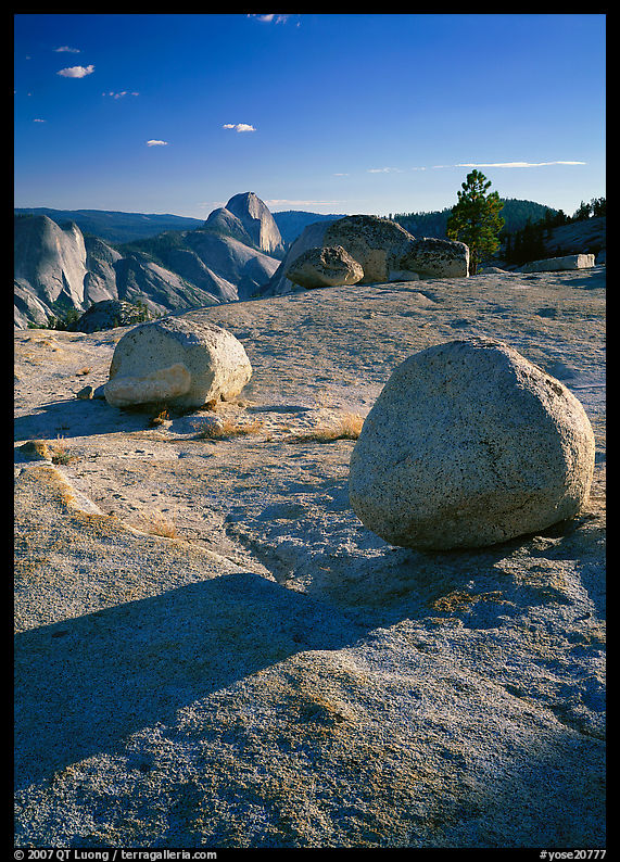 Glacial erratic boulders and Half Dome, Olmsted Point, afternoon. Yosemite National Park, California, USA.