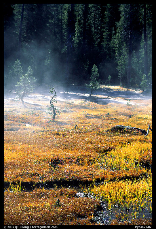 Mist raises from Tuolumne Meadows on a autumn morning. Yosemite National Park, California, USA.