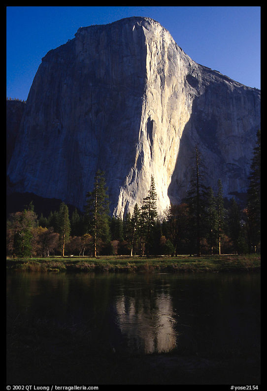 El Capitan reflected in Merced river, early morning. Yosemite National Park, California, USA.