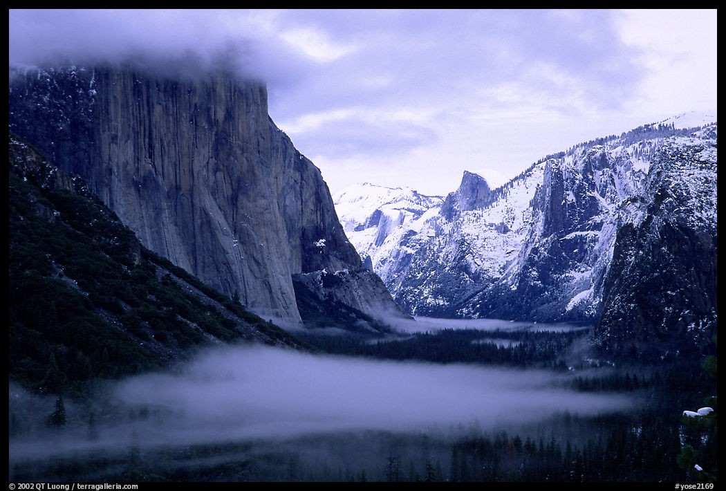 Yosemite Valley from Tunnel View with fog in winter. Yosemite National Park, California, USA.
