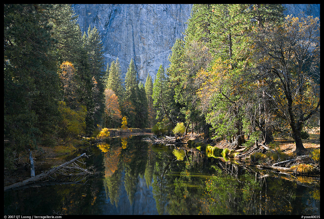 Merced River, trees, and rock wall. Yosemite National Park, California, USA.