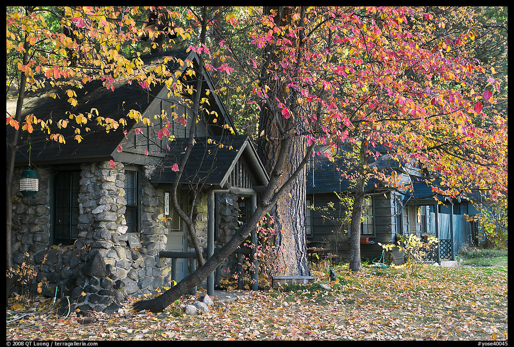 Private houses in autumn. Yosemite National Park