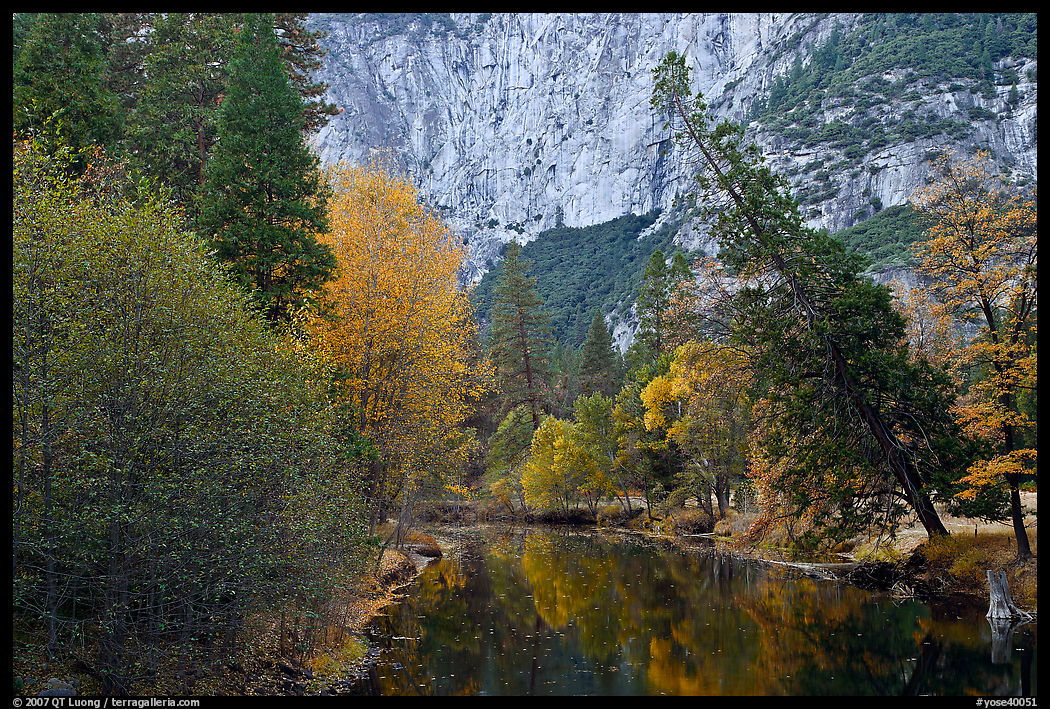 Trees in fall foliage bordering Merced River. Yosemite National Park