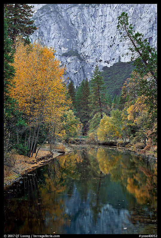 Trees in autumn foliage reflected in Merced River. Yosemite National Park, California, USA.