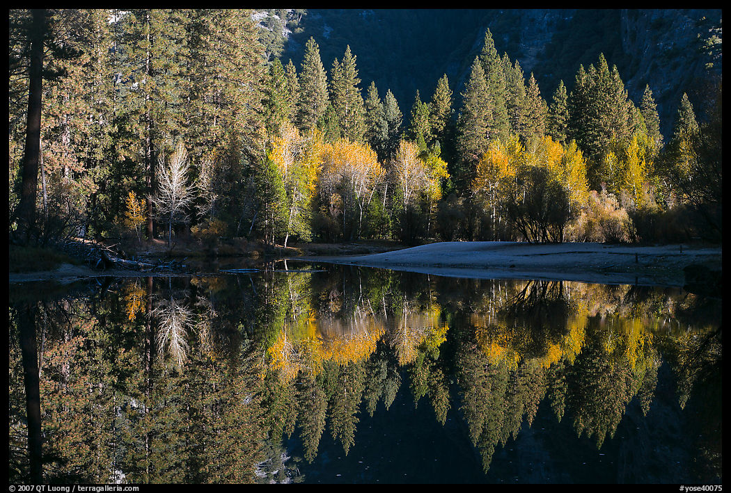 Sunlit trees and reflexions, Merced River. Yosemite National Park, California, USA.