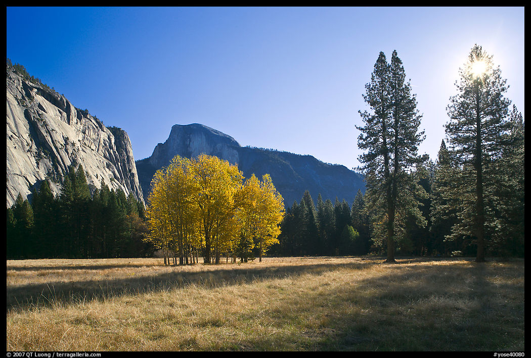 Ahwahnee Meadow with sun shinnig through tree, early morning. Yosemite National Park, California, USA.