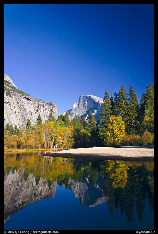 Trees in fall foliage and Half-Dome reflected in Merced River. Yosemite National Park, California, USA.