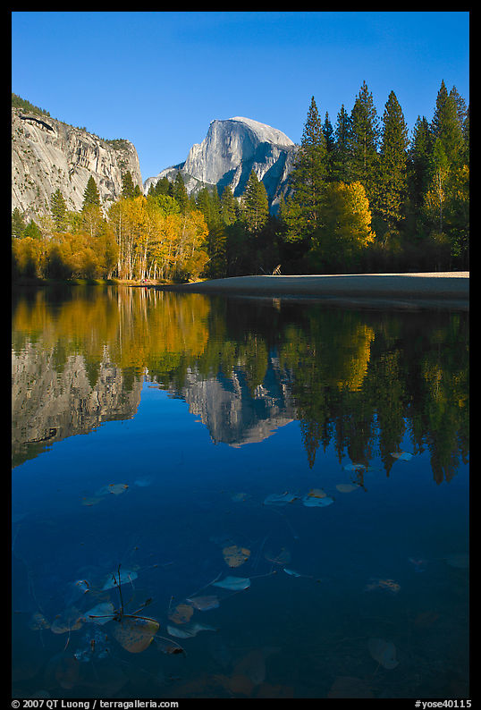 Fallen leaves, Merced River, and Half-Dome reflexions. Yosemite National Park, California, USA.