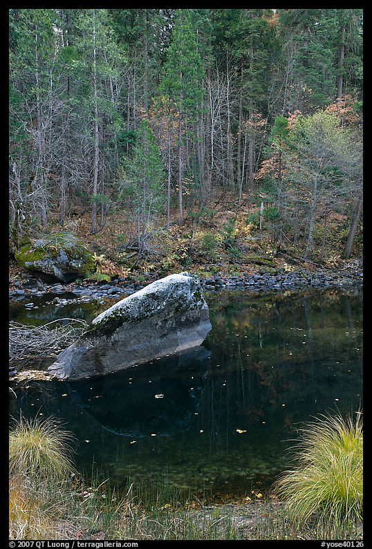Boulder and reflexions in  Merced River in autumn. Yosemite National Park, California, USA.