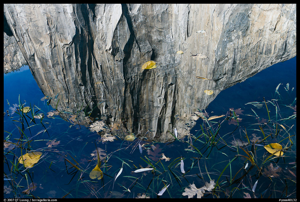 El Capitan reflexion. Yosemite National Park