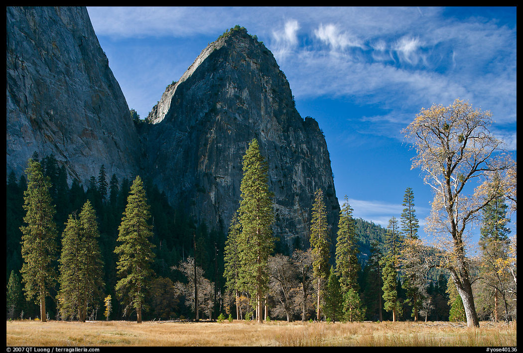El Capitan Meadow and Cathedral Rocks in autumn. Yosemite National Park, California, USA.