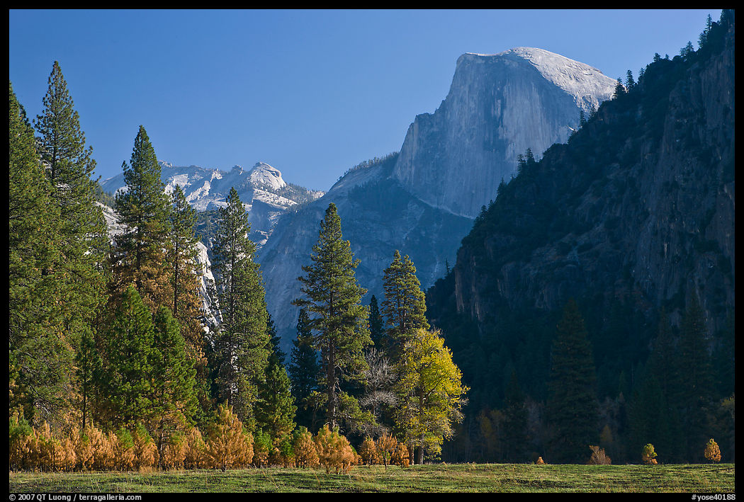 Half-Dome seen from Sentinel Meadow. Yosemite National Park, California, USA.
