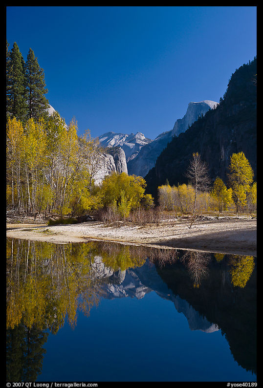 Trees in autum foliage, Half-Dome, and cliff reflected in Merced River. Yosemite National Park, California, USA.
