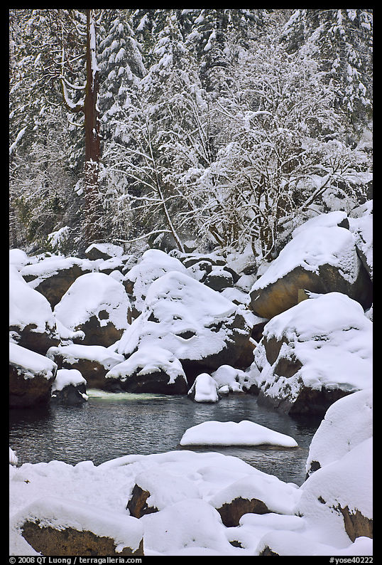 Snow-covered boulders in Merced River and trees. Yosemite National Park, California, USA.