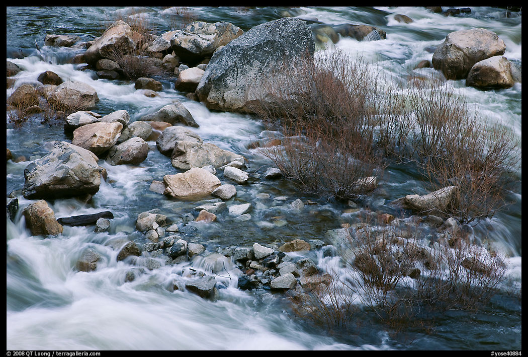 Rapids and shrubs, early spring, Lower Merced Canyon. Yosemite National Park