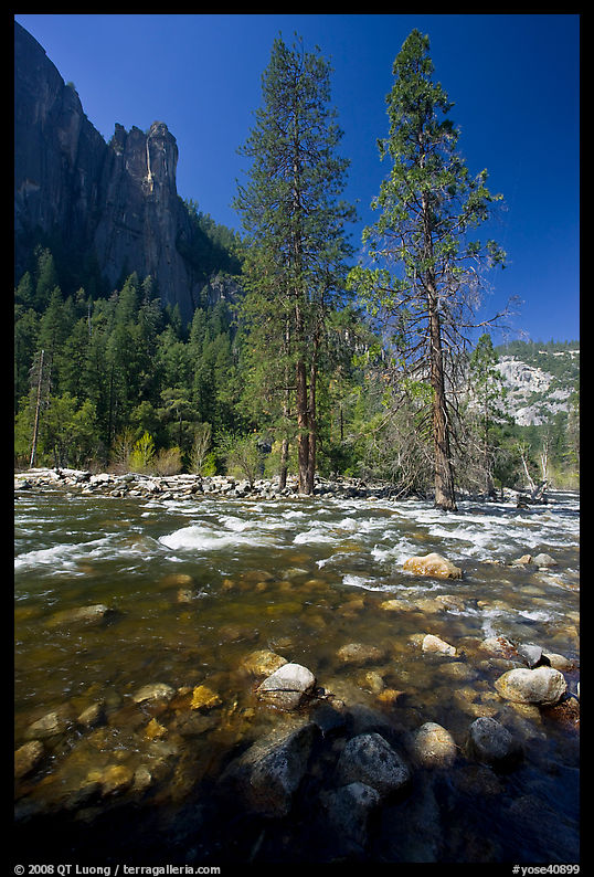 Rostrum, tall trees, and Merced River. Yosemite National Park
