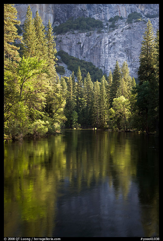 Trees reflected in river at the base of El Capitan in spring. Yosemite National Park