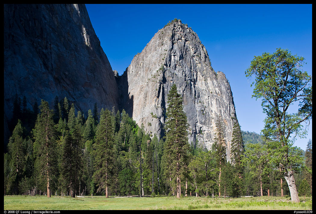 Cathedral Rocks in spring. Yosemite National Park
