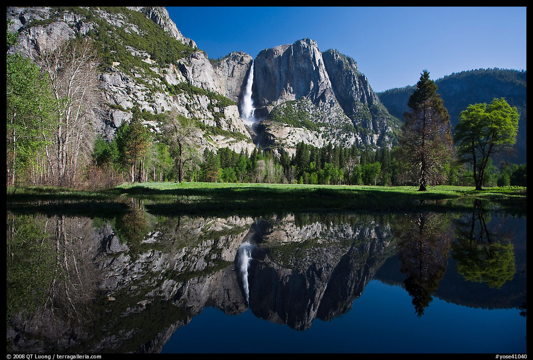 Yosemite Falls and meadow reflected in a seasonal pond. Yosemite National Park