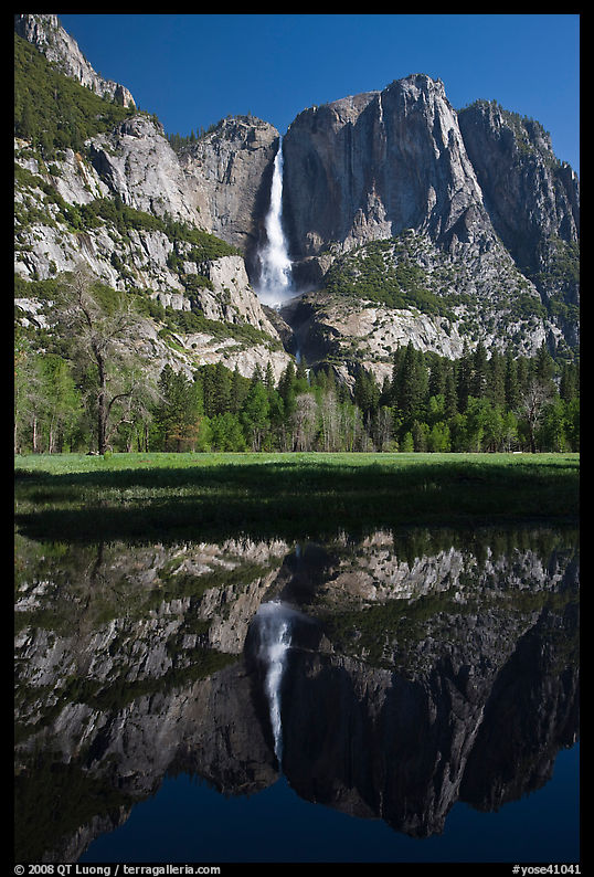 Yosemite Falls and meadow reflected in run-off pond, morning. Yosemite National Park