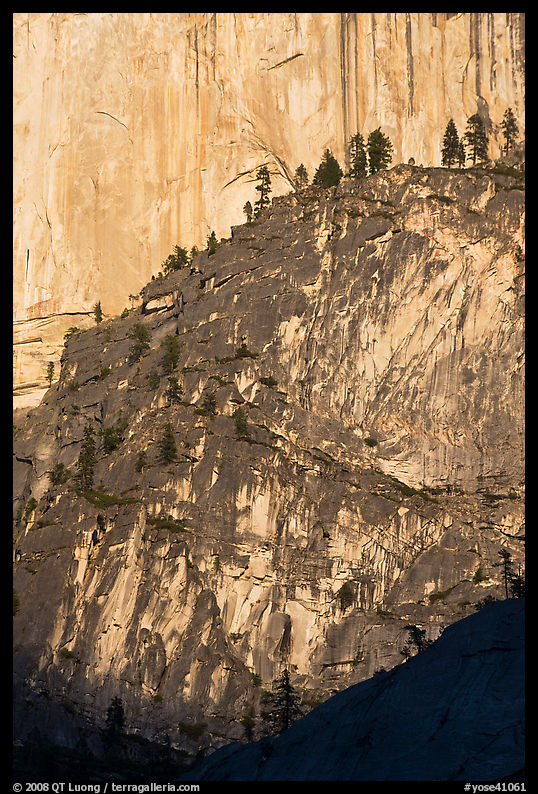 Pine trees on ridges and Half-Dome face. Yosemite National Park