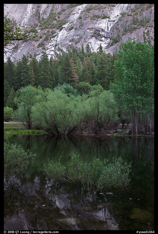 Refections and green trees, Mirror Lake. Yosemite National Park