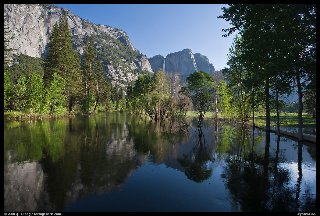 Swollen Merced River reflecting trees and cliffs. Yosemite National Park