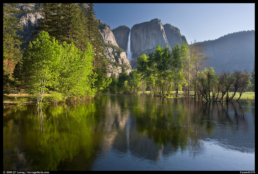 Trees in spring foliage and Yosemite Falls reflected in Merced River. Yosemite National Park