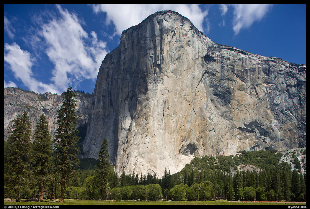El Capitan. Yosemite National Park