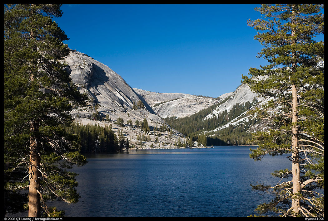 Tenaya Lake framed by trees. Yosemite National Park