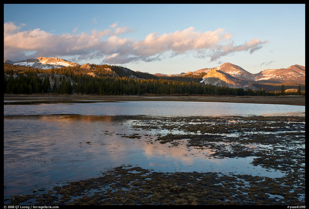 Flooded meadow in early spring at sunset, Tuolumne Meadows. Yosemite National Park