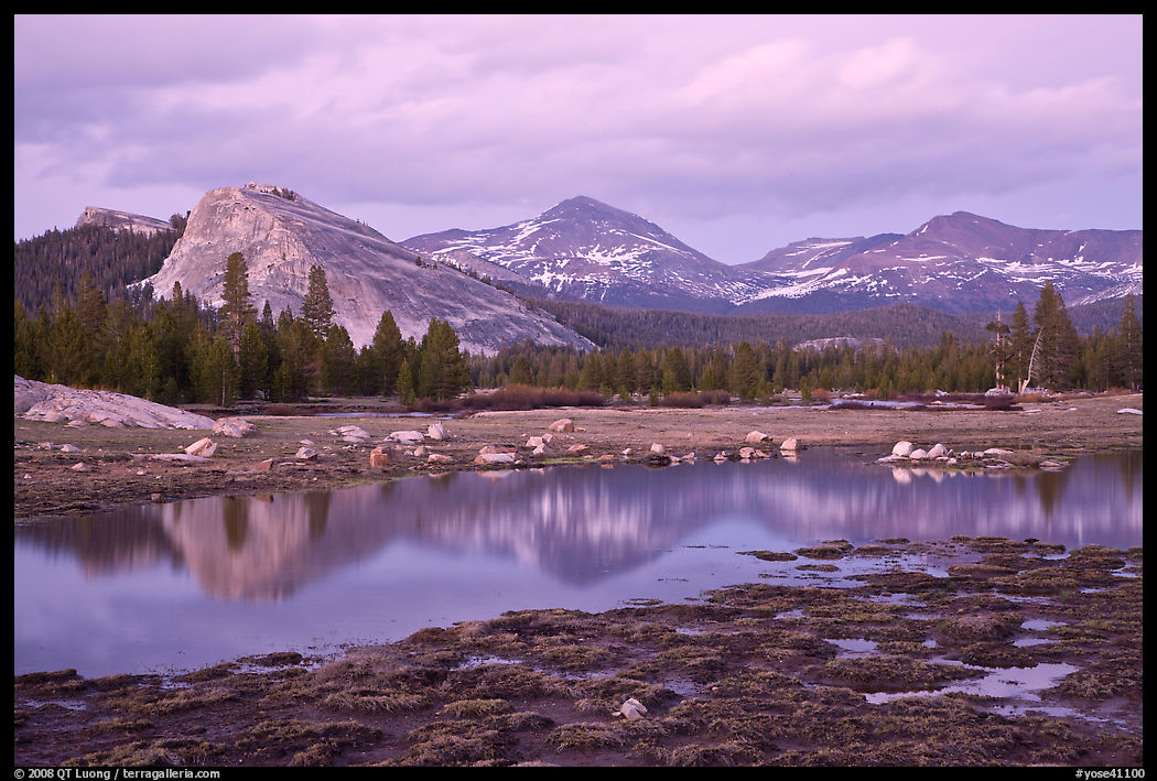 Lambert Dome and Sierra Crest peaks reflected in seasonal pond, dusk. Yosemite National Park