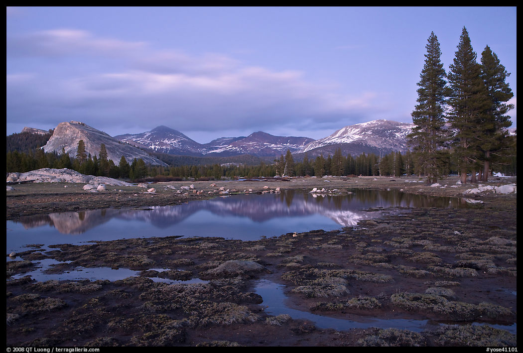 Tuolumne Meadows with domes reflected in early spring, dusk. Yosemite National Park