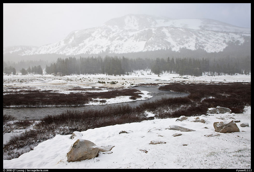 Snowy landscape near Tioga Pass. Yosemite National Park